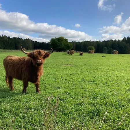 Lesny Zakatek - Mazury - Warmia - Jezioro Dadaj Ramsowo