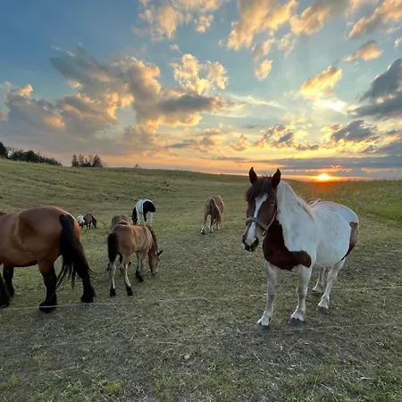 Lesny Zakatek - Mazury - Warmia - Jezioro Dadaj *