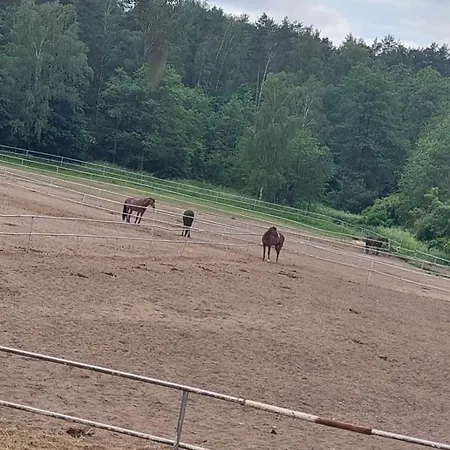 度假居 Lesny Zakatek - Mazury - Warmia - Jezioro Dadaj Ramsowo