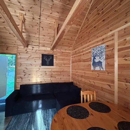 Lesny Zakatek - Mazury - Warmia - Jezioro Dadaj Ramsowo